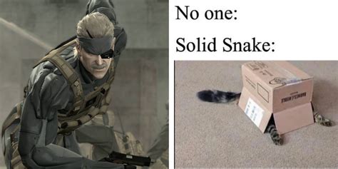 metal gear solid bird box meme|solid snake metal gear.